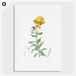 1-12_La-Botanique_picture