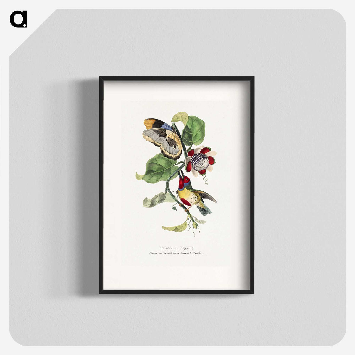 1-12_Le-Jardin-des-Plantes_blk