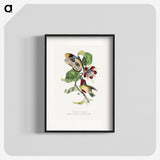 1-12_Le-Jardin-des-Plantes_blk