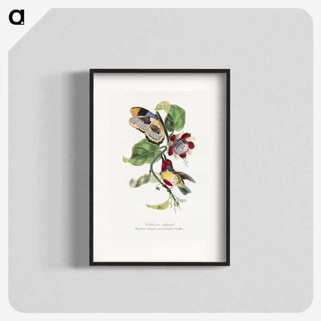 1-12_Le-Jardin-des-Plantes_blk