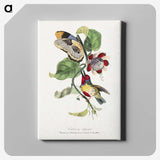 1-12_Le-Jardin-des-Plantes_canvas