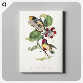 1-12_Le-Jardin-des-Plantes_canvas