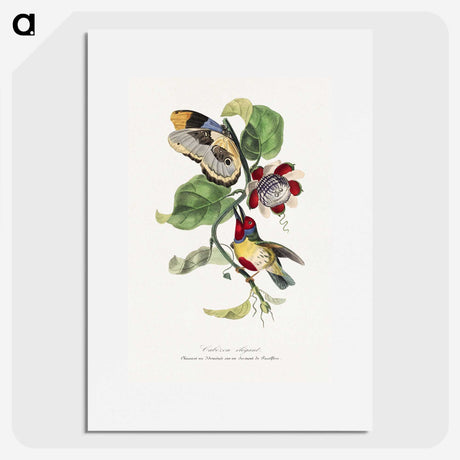 1-12_Le-Jardin-des-Plantes_picture