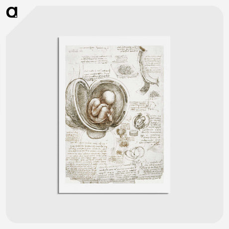 1-12_Leonardo-Da-Vinci_hagaki