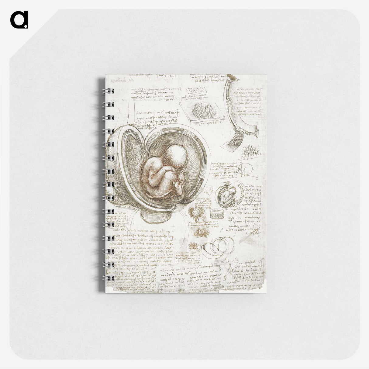 1-12_Leonardo-Da-Vinci_memo