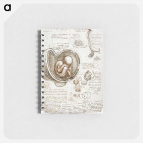 アートメモ帳-Studies of the Foetus in the Womb - レオナルド ダ ヴィンチ Memo.