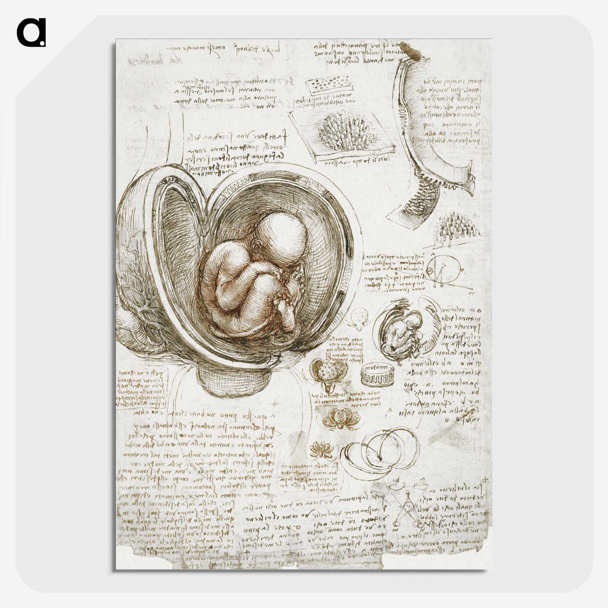 1-12_Leonardo-Da-Vinci_picture-crop