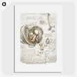 1-12_Leonardo-Da-Vinci_picture