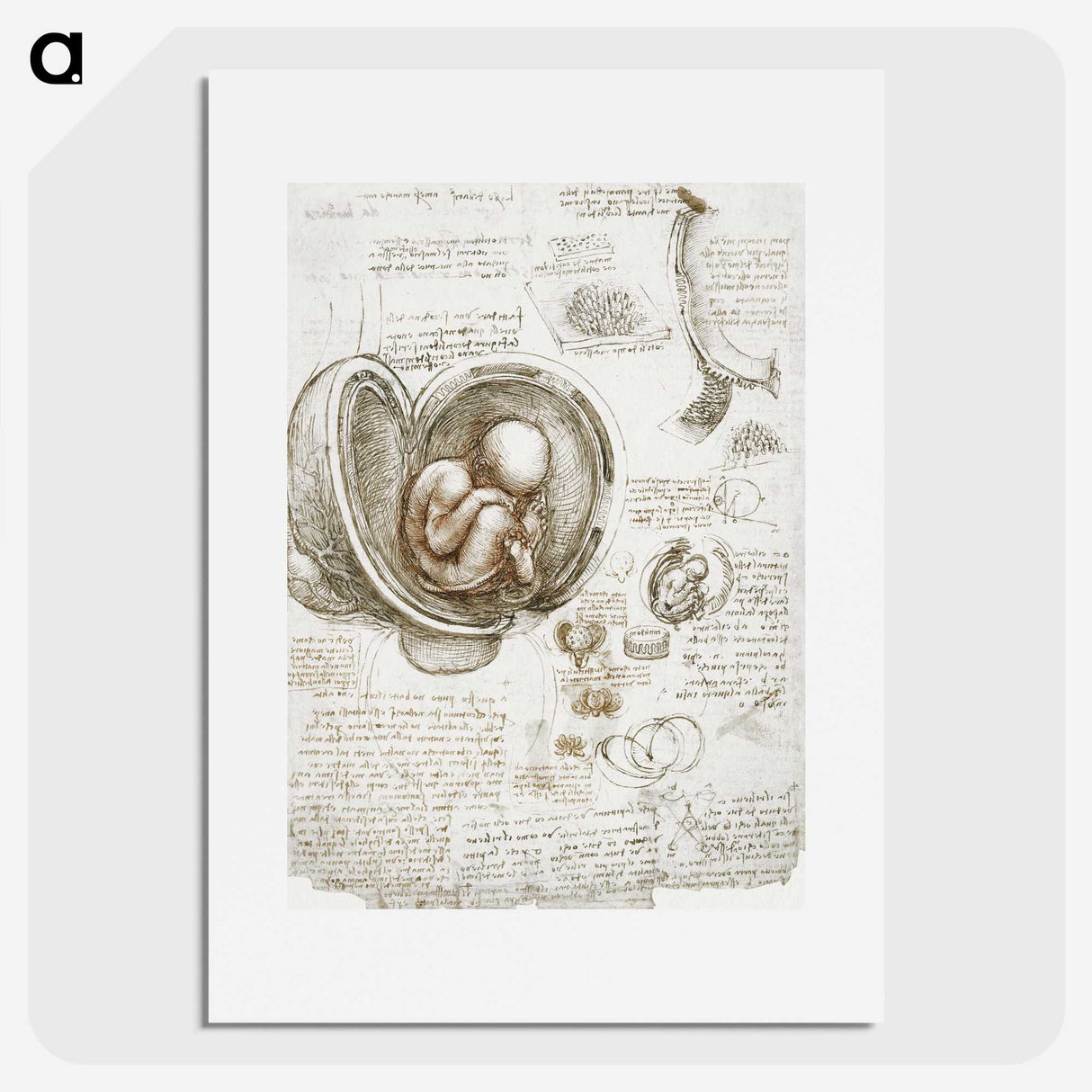 1-12_Leonardo-Da-Vinci_picture