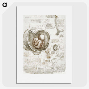 1-12_Leonardo-Da-Vinci_picture