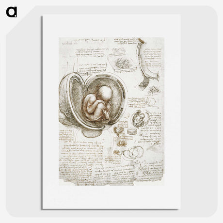 1-12_Leonardo-Da-Vinci_picture