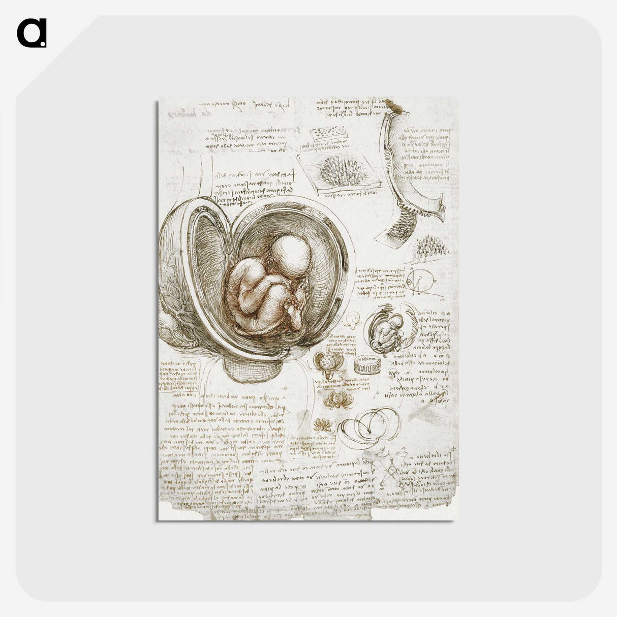 1-12_Leonardo-Da-Vinci_postcard