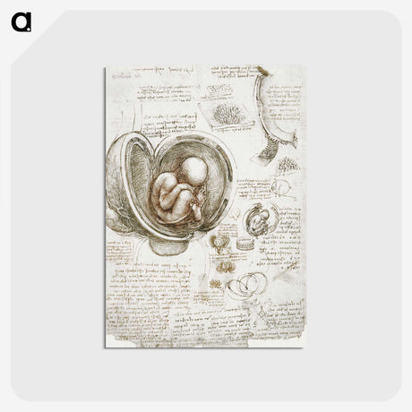 1-12_Leonardo-Da-Vinci_postcard