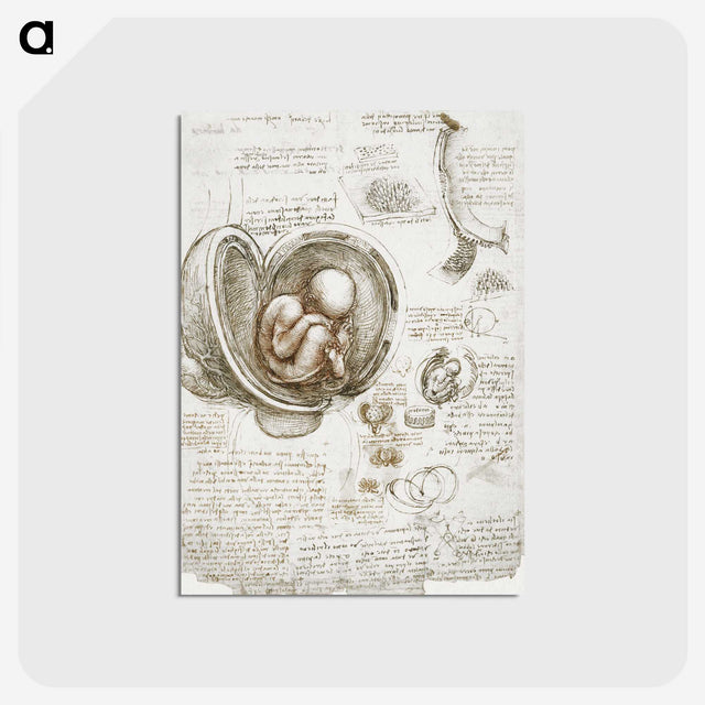 1-12_Leonardo-Da-Vinci_postcard