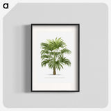 1-12_Les-Palmiers-Histoire-Iconographique_blk