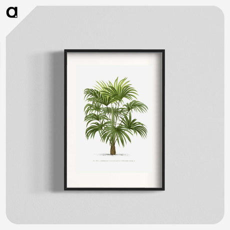 1-12_Les-Palmiers-Histoire-Iconographique_blk
