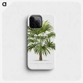 1-12_Les-Palmiers-Histoire-Iconographique_phone