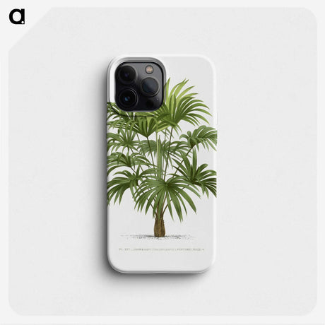 1-12_Les-Palmiers-Histoire-Iconographique_phone