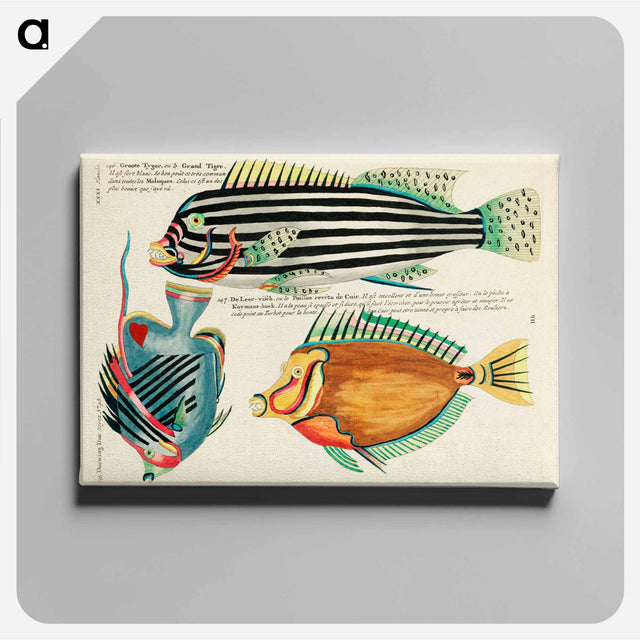 アートパネル-Moluccan Fishes
 - ルイ ルナール Canvas.
