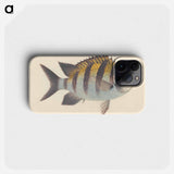 Unidentified Fish
 - ルイージ バルガーニ Phone Case.