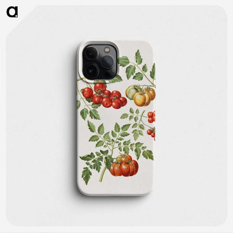 1-12_Maria-Sibylla-Merian_phone