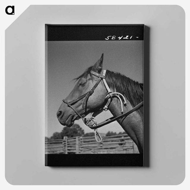 1-12_Marion-Post-Wolcott_canvas