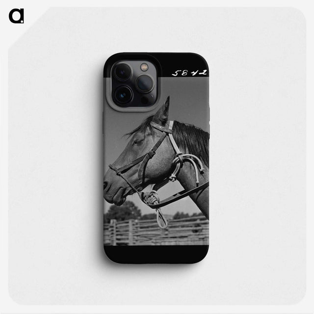 1-12_Marion-Post-Wolcott_phone