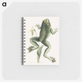 1-12_Mark-Catesby_memo