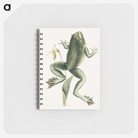 1-12_Mark-Catesby_memo