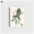 アートメモ帳-Bull Frog
 - マーク ケイツビー Memo.