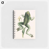 アートメモ帳-Bull Frog
 - マーク ケイツビー Memo.