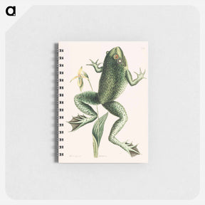 アートメモ帳-Bull Frog
 - マーク ケイツビー Memo.