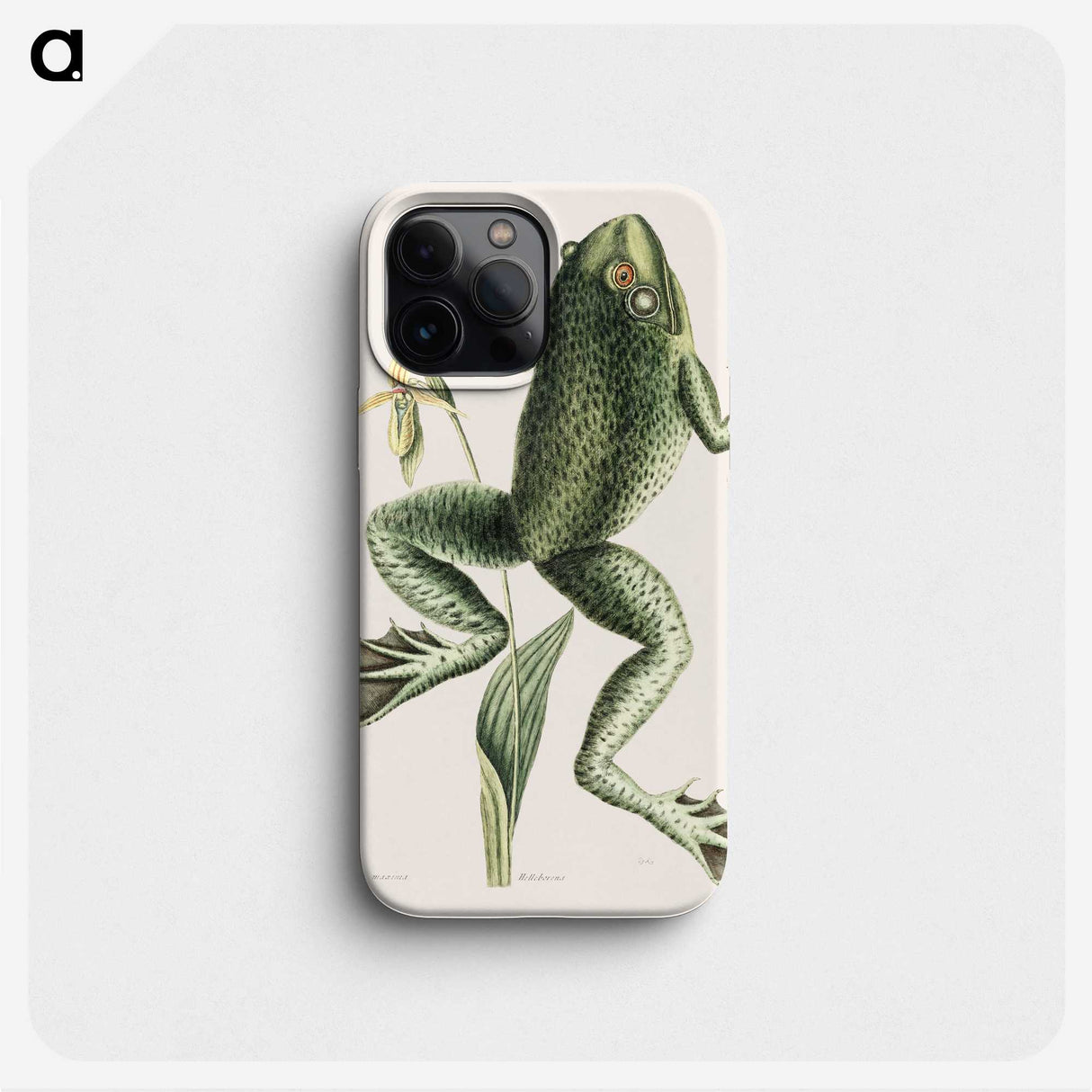 1-12_Mark-Catesby_phone