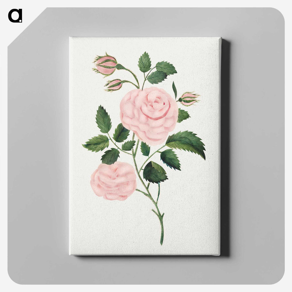 1-12_Mary-Altha-Nims_canvas