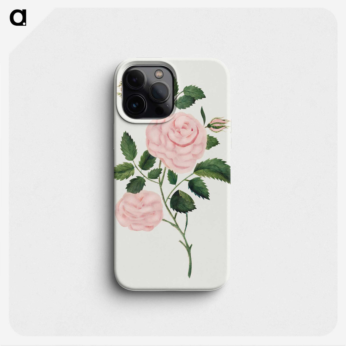 1-12_Mary-Altha-Nims_phone