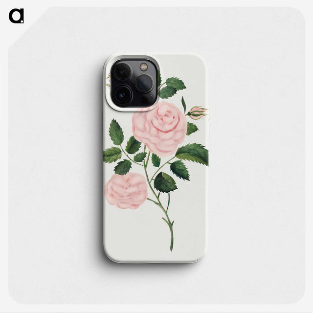 1-12_Mary-Altha-Nims_phone
