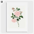 1-12_Mary-Altha-Nims_picture