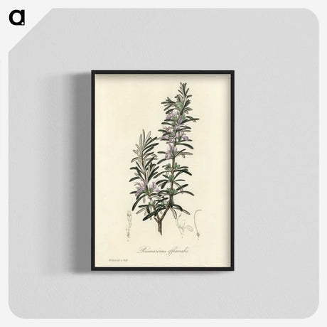 1-12_Medical-Botany_blk-crop
