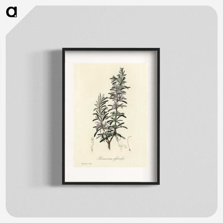 1-12_Medical-Botany_blk