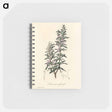 アートメモ帳-Rosmarinus officinalis
 - 薬用植物学 Memo.