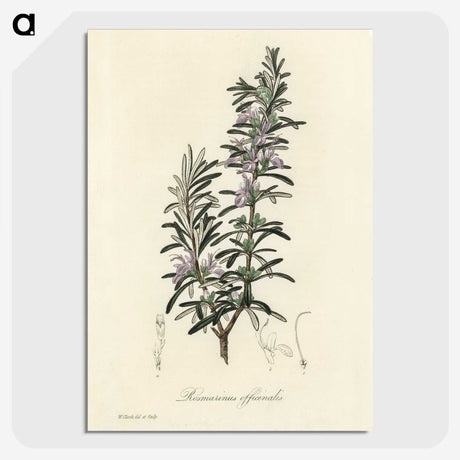 1-12_Medical-Botany_picture-crop