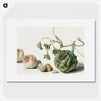 1-12_Michiel-van-Huysum_picture