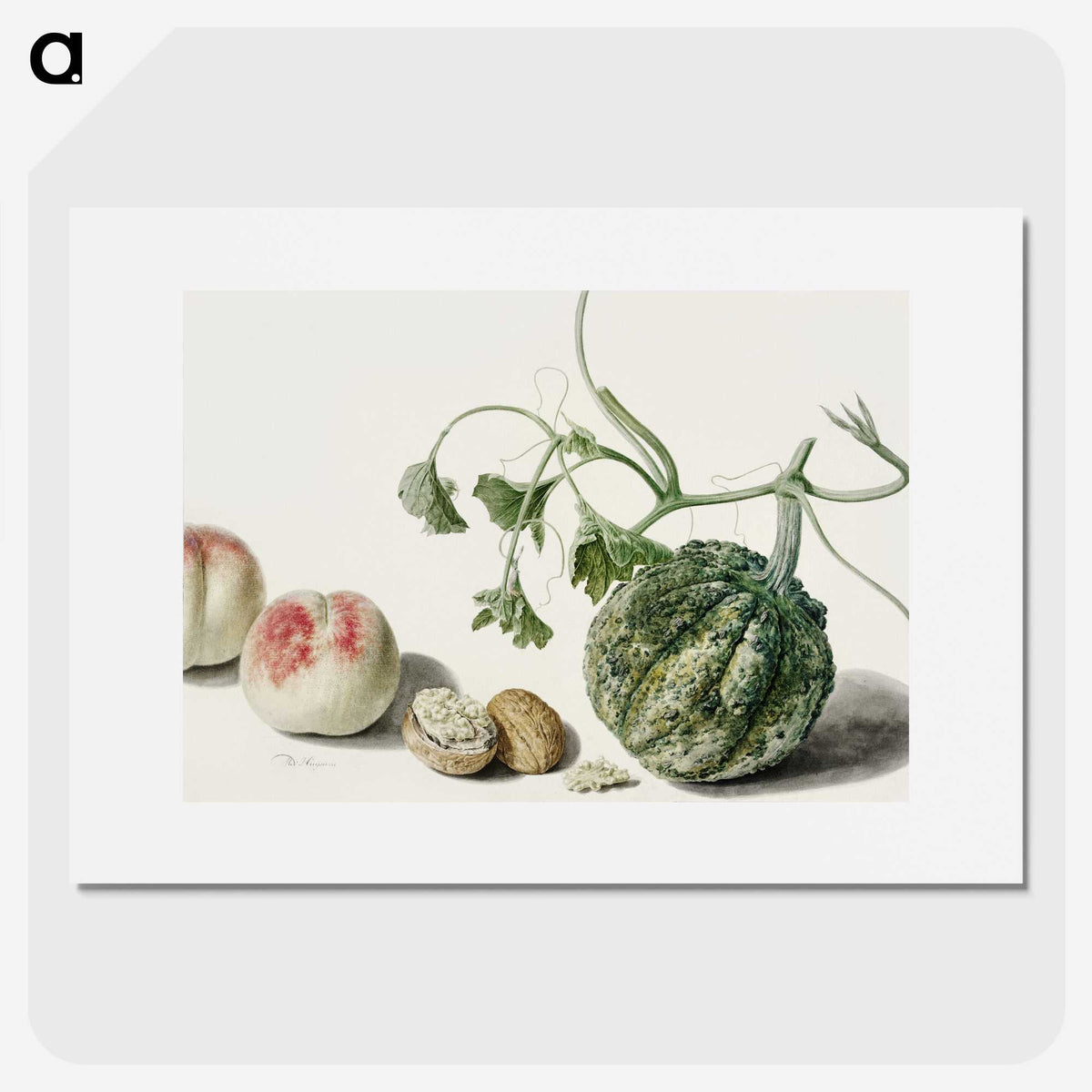 1-12_Michiel-van-Huysum_picture