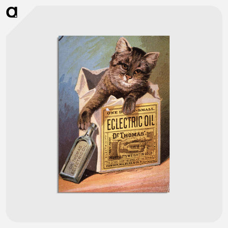 アートポストカード-Nonpr Still Image
 - 国立医学図書館 Postcard.