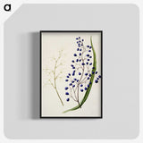 1-12_Native-Flowering-Plants-of-New-Zealand_blk-crop