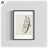 1-12_Native-Flowering-Plants-of-New-Zealand_blk