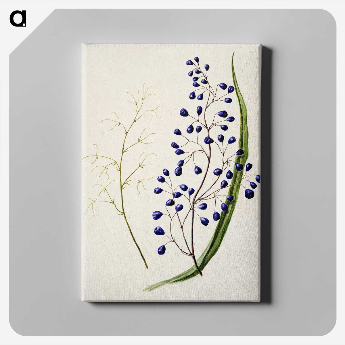 1-12_Native-Flowering-Plants-of-New-Zealand_canvas