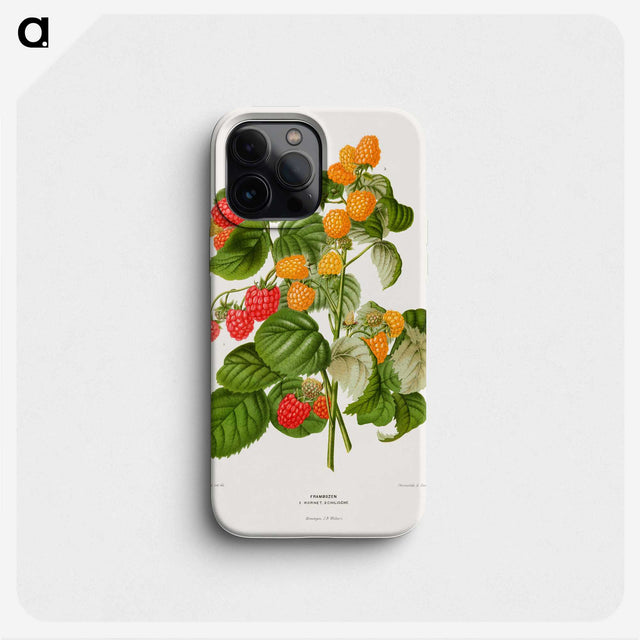 1-12_Nederlandsche-Flora-en-Pomona_phone
