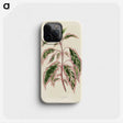 1-12_New-and-Rare-Beautiful-Leaved-Plants_phone