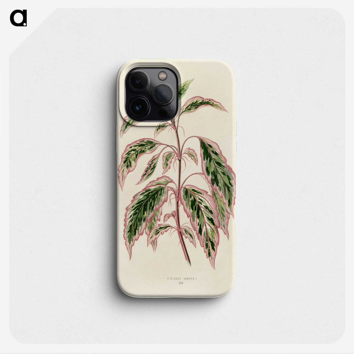 1-12_New-and-Rare-Beautiful-Leaved-Plants_phone